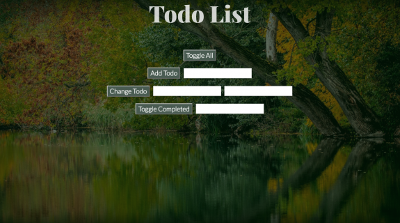 JavaScript project